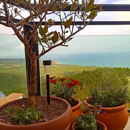 Precioso ático en la Sierra de Irta Apartamento Alcossebre Exterior foto